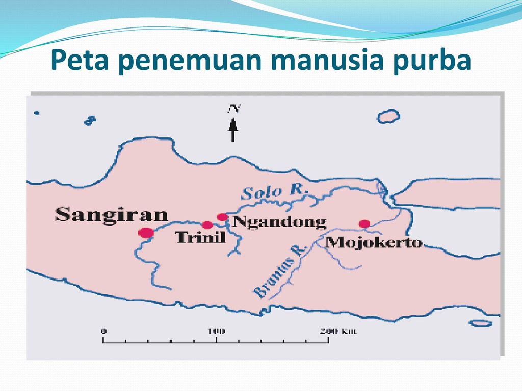 Sejarah Penemuan Manusia Purba Di Indonesia Seputar Sejarah